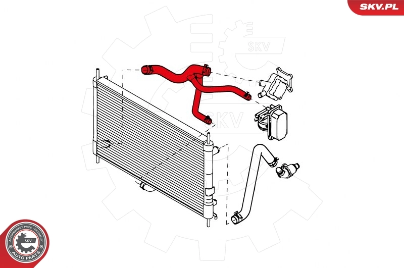Radiator Hose